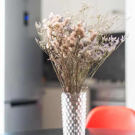 Celestia Terrazza Canal View Apartament Wenecja